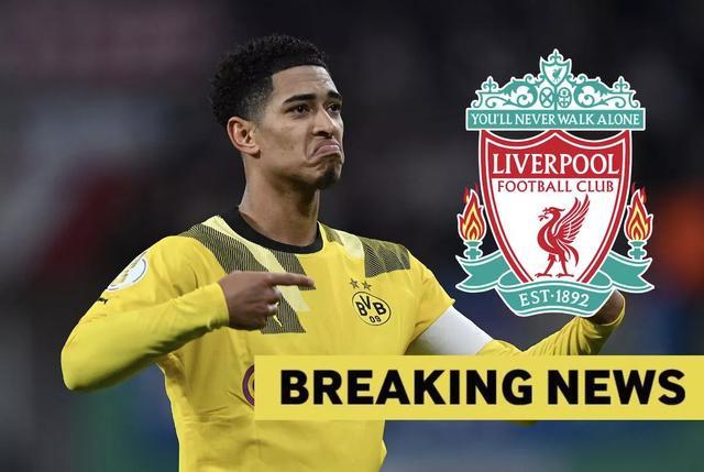 贝蒂斯缺的 贝蒂斯缺的